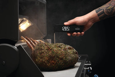 Fast Read Thermometer