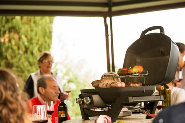 TravelQ™ PRO285 Portable Natural Gas Grill, Black