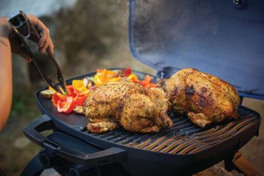 TravelQ™ 285 Portable Propane Gas Grill, Blue