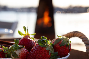 Jotul Terrazza XL Fireplace