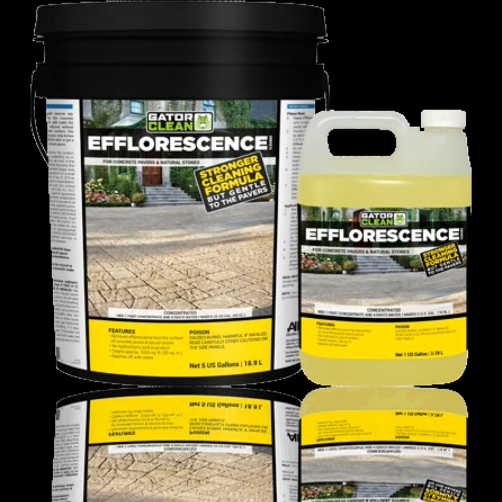 Pool Gator Cleaner Alliance GATOR EFFLORESCENCE CLEANER 1 US GAL(4 UN/BOX) – Alfresco Backyard