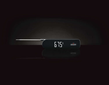 Fast Read Thermometer